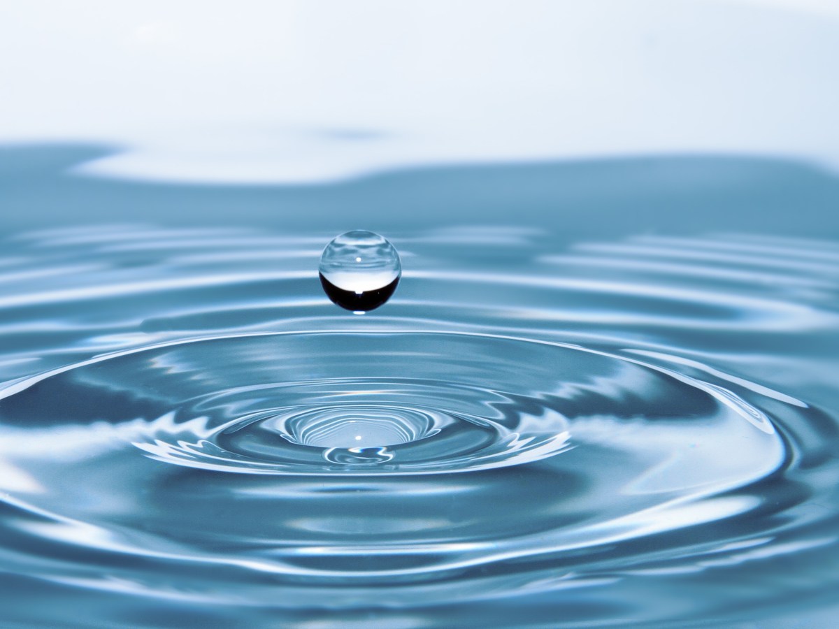 The Effect of Fluoride on your Health and How to&nbsp;Heal