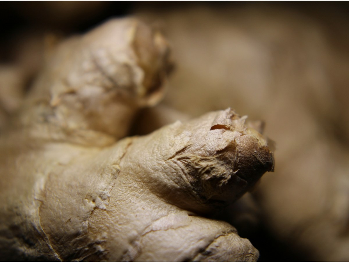 Strengthen Digestion and Support Your Body’s Fight Against&nbsp;Illness