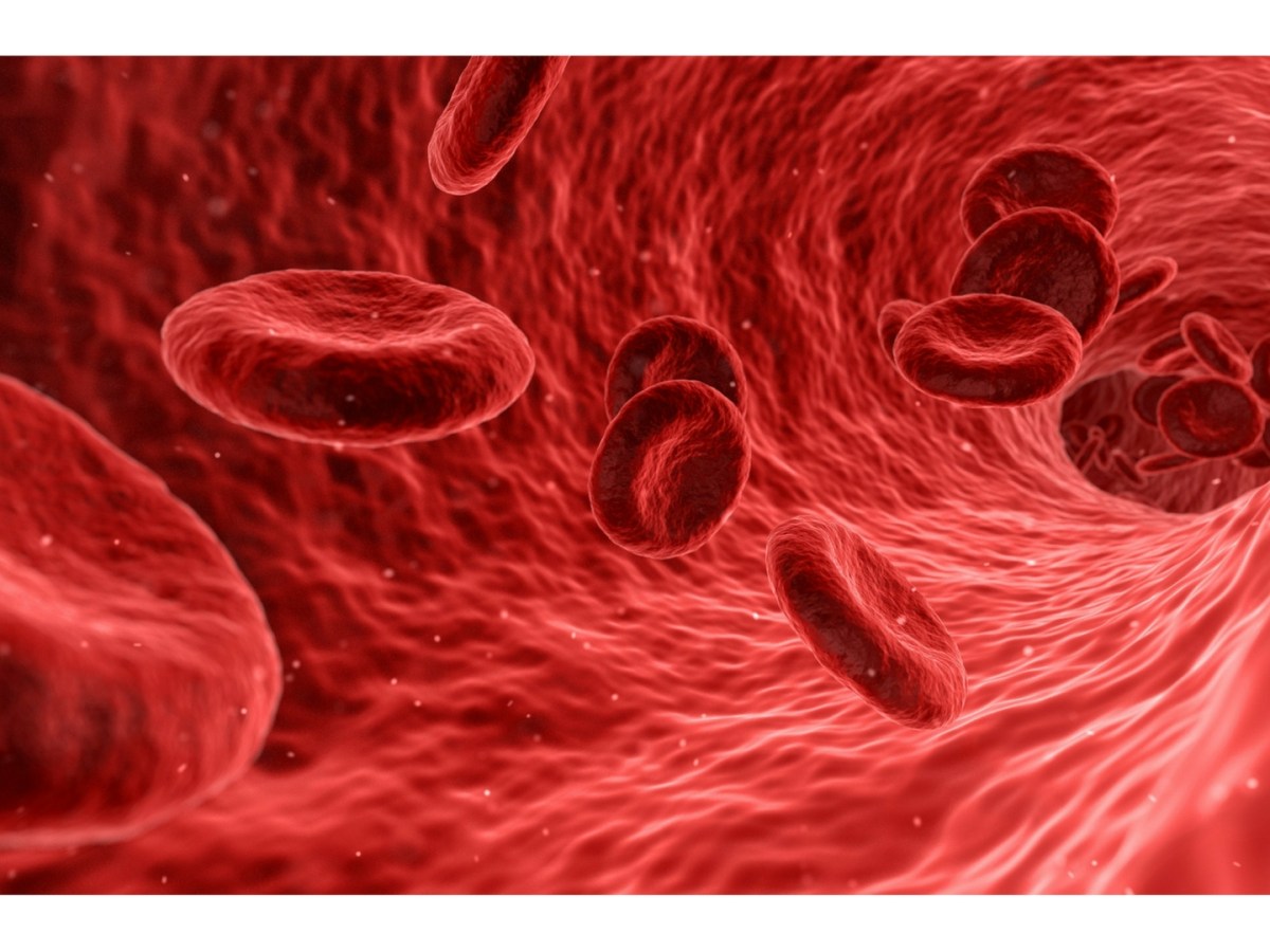 What’s Causing your Anxiety? It Could be in Your&nbsp;Blood