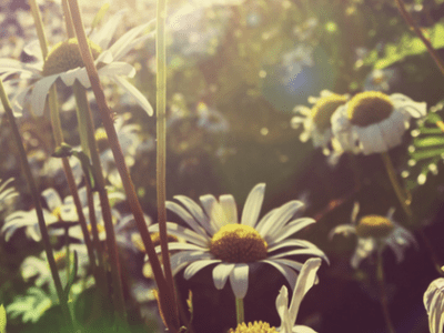 Natural Solutions for Stress &&nbsp;Anxiety