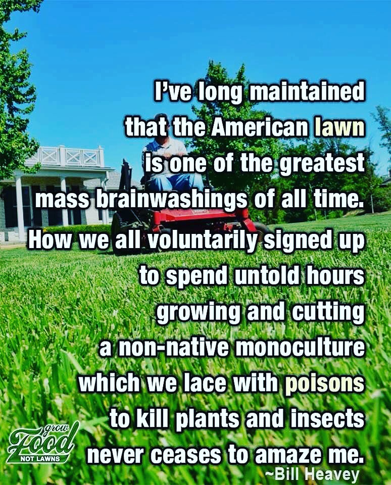 85DAEF5B-A9FA-479B-803B-DAC5D8BB6F73