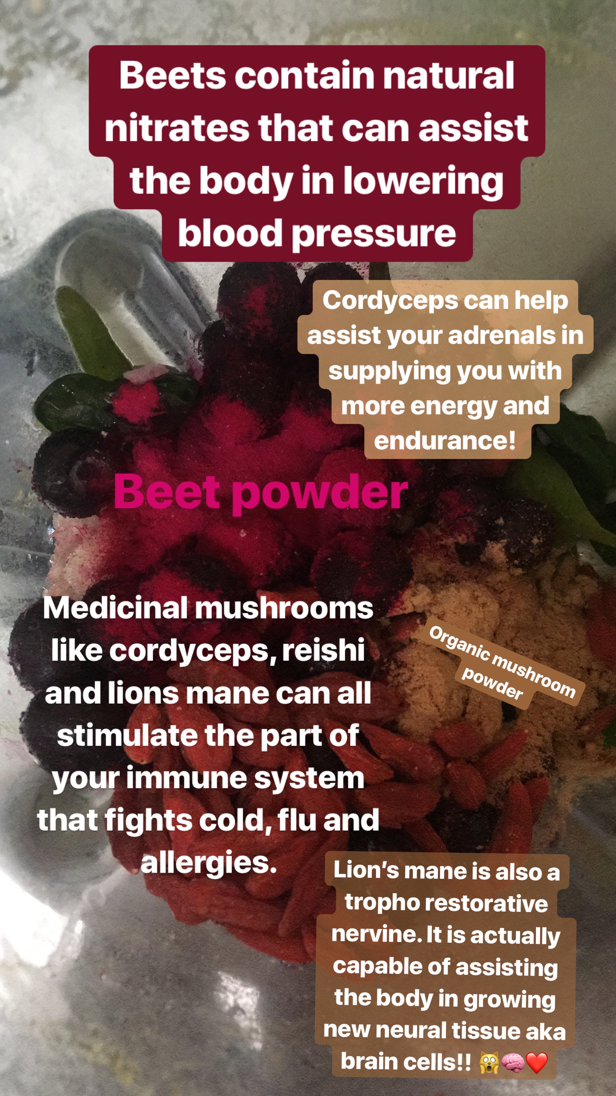 35809C4B-23CE-45CD-9957-49075323338E