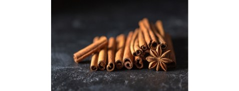 Untitled design (17)