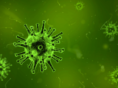 Fortify Yourself Against the Corona&nbsp;Virus
