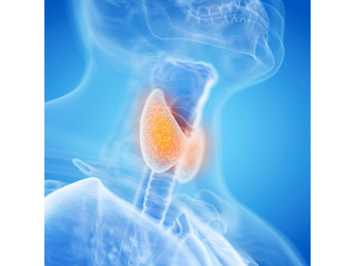 Is it Really your&nbsp;Thyroid?