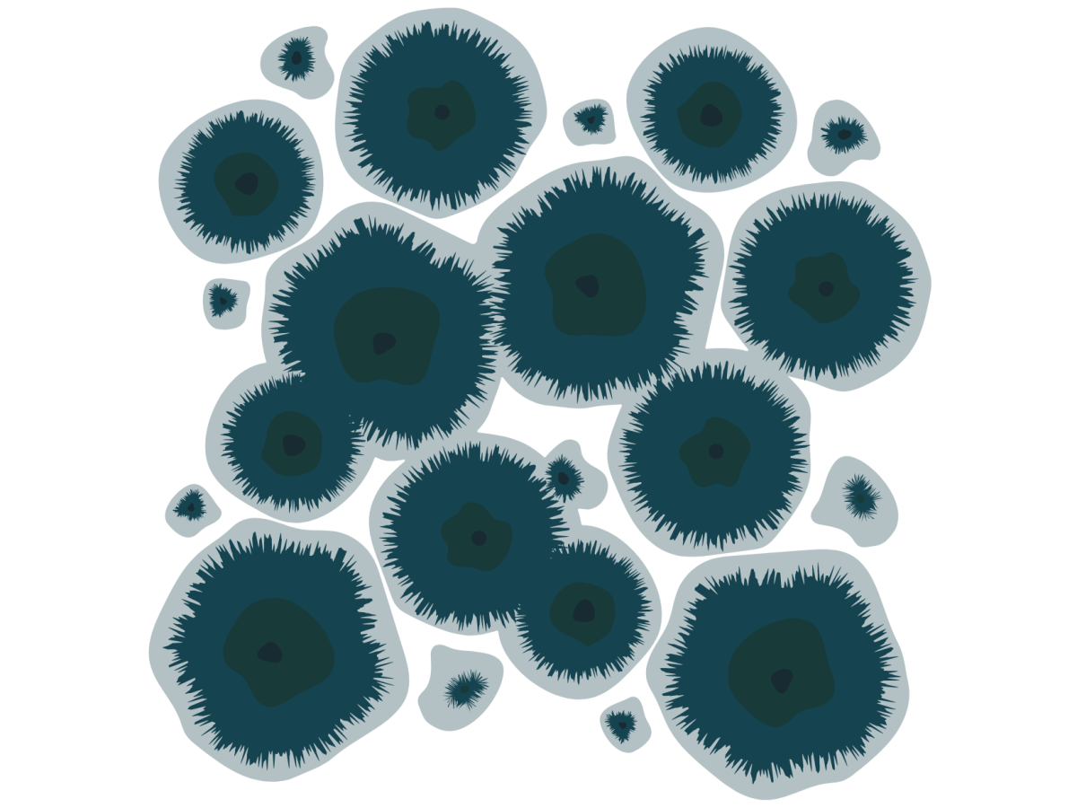 Could Mold be the Cause of Your&nbsp;Woes?