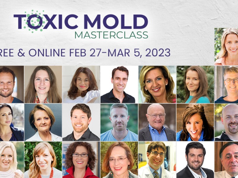 Unknown Cause for Chronic Pain, Fatigue, MCAS, Allergies, Asthma and More— Mold Masterclass Starts Today&nbsp;(Free)
