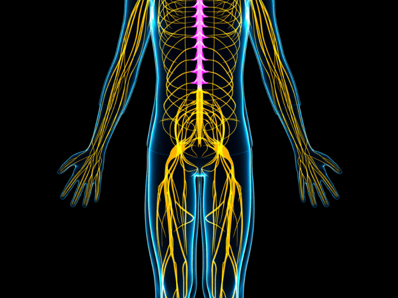 What Got Rid of my&nbsp;Neuropathy