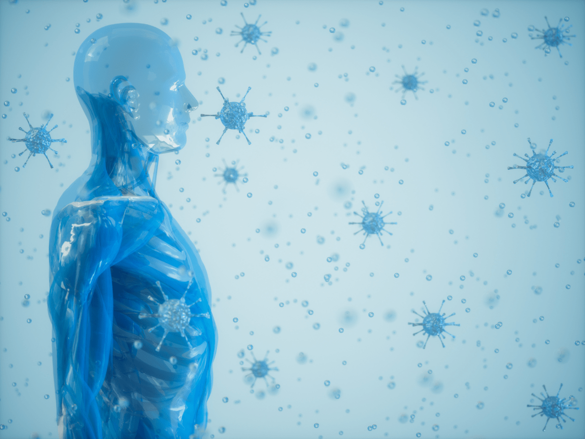 How to Support the Immune System this&nbsp;Season